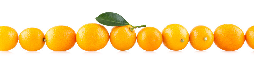 Line of kumquats