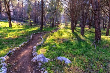 Hiking on Monte Pellegrino near Palermo on Sicily in Italy, Europe in Spring