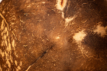 Texture and background of polished coconut.