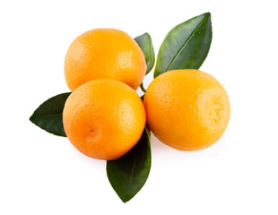 Fresh mandarin oranges