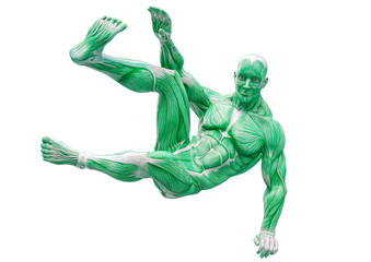 muscleman anatomy heroic body parkour jump pose two in white background