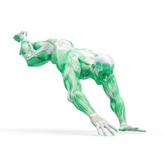muscleman anatomy heroic body parkour landing pose in white background