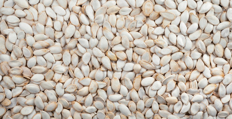 Pumpkin seeds unpeeled. Background. Panorama. Banner.