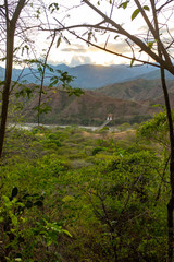 A Lots of Vegetation, Tree Logs, Mountains and in the Distance the Suspended Bridge Over the Cauca River Between the Santa Fe City of and Olaya City