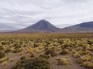 Fototapeta premium Ruta de los salares y piedras volcanicas en San Pedro de Atacama