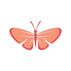 Sweet butterfly flat icon. Vector sweet butterfly in flat style isolated on white background. Element for web, game and advertising