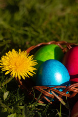 Easter eggs in a basket on the grass. Painted colored eggs. Orthodox holiday. Signs and customs. Meal.