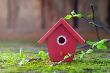 Miniature red wooden bird house, tree branches with fresh leaves, spring Easter background.