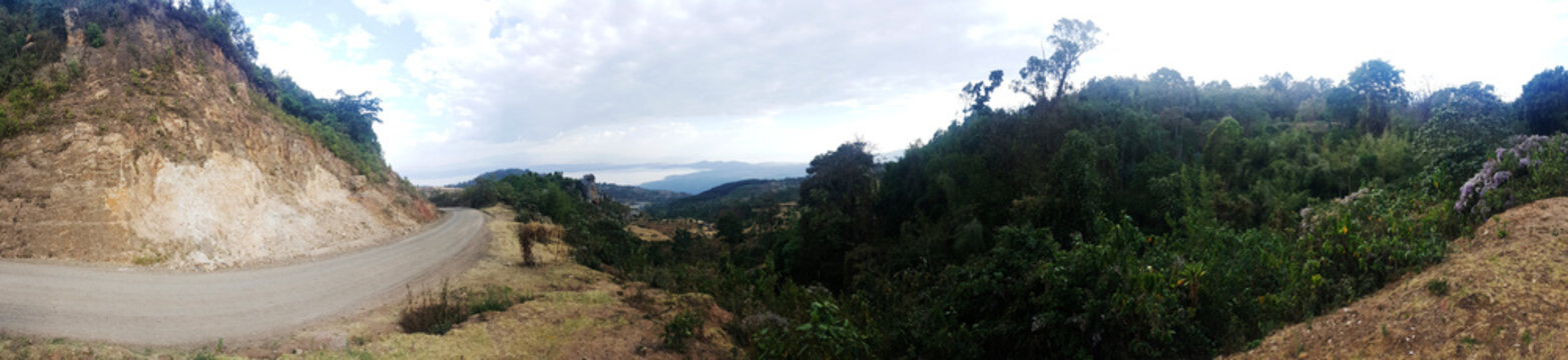 Flora And Environment In Arba Minch