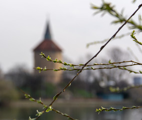Some twigs with green leaves coming out on an early spring day in the park Pildammsparken with the old water tower blurred out in the background