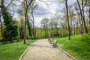 a wooden bench in the park