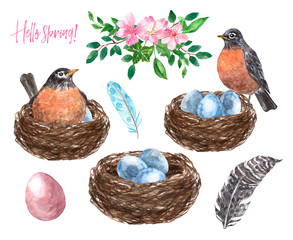Watercolor spring set with hand painted robin birds family - mom and dad, nest with eggs, floral bouquet, feathers, isolated on white background. Easter holiday illustration.