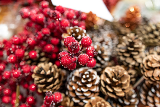 Pigne e ribes cine decorazioni per negozi e cataloghi di Natale e festivit&agrave;