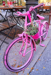 Fototapeta na wymiar A pink coloured old, retro, vintage bicycle with a basket of flowers leaning against a light post.