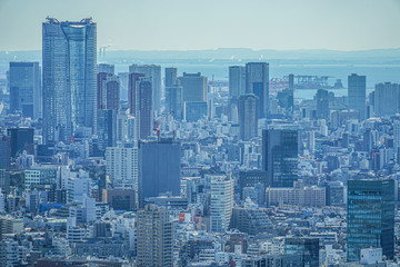 Naklejka na ściany i meble 東京都庁の展望台から見える東京の街並み