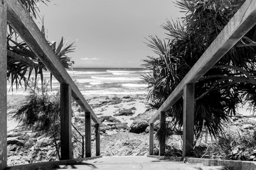 Black and White of a tropical beach,  Byron Bay Australia