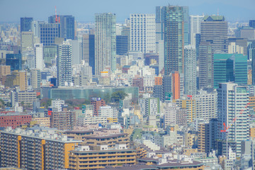 Naklejka premium 恵比寿ガーデンプレイス展望台から見える東京の街並み