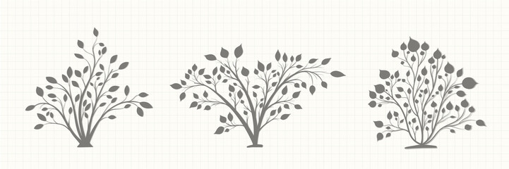 Silhouette of a bush plant in a gray tone on a notebook page in vintage style on a light background © ugarich