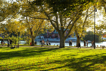 autumn in the park in cambridge