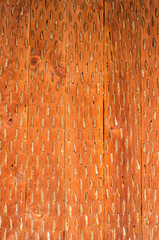 Bottom view of Spanish threshing board closeup as rural wooden background