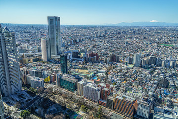 Fototapeta premium 東京都庁の展望台から見える東京の街並み