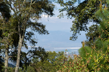 la laguna