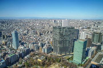 Fototapeta premium 東京都庁の展望台から見える東京の街並み