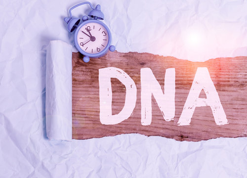 Word writing text Dna. Business photo showcasing a selfreplicating material wpresent in nearly all living organisms Alarm clock and torn cardboard placed above a wooden classic table backdrop