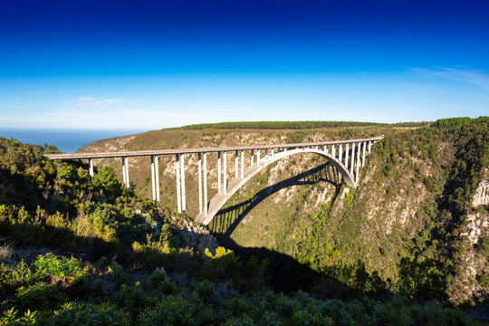 South Africa's Biggest Bungee Jump Bridge (Bloukrans Bridge Bungy)