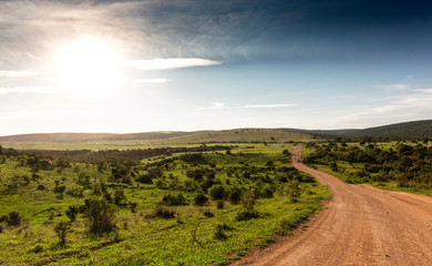 Gravel road in landscape with sunset in Addo Elephant Park, South Africa