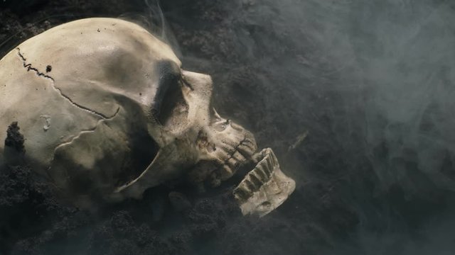 Human skull on the wet soild with smoke flowing