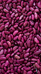 vertical close up purple beans background, purple beans seeds