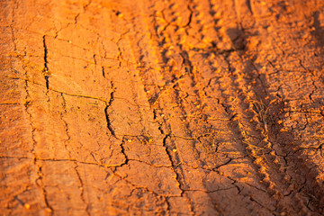 Tire track with cracks in the soil