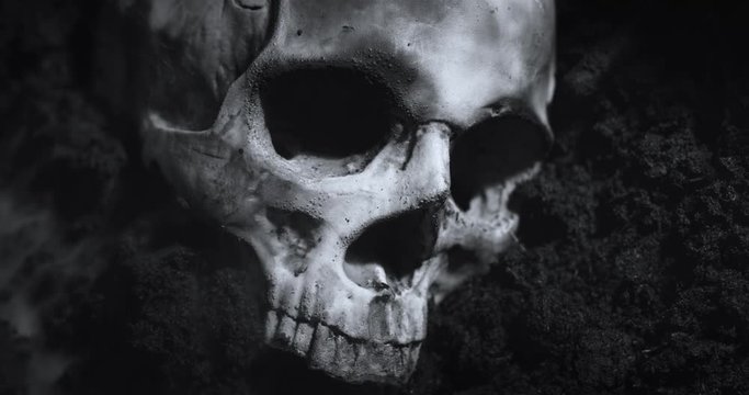 Human skull on the wet soild with smoke flowing