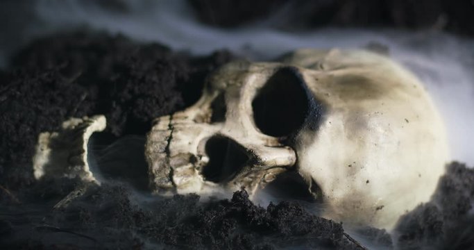 Human skull on the wet soild with smoke flowing