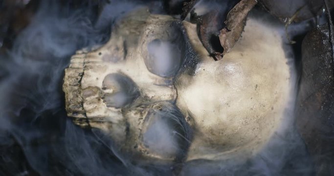Human skull on the wet soild with smoke flowing
