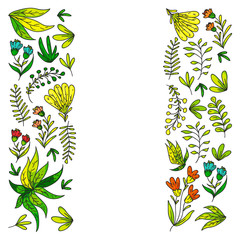 Hand vector drawn floral, leaves elements. Pattern for logo, greeting card, wedding design.