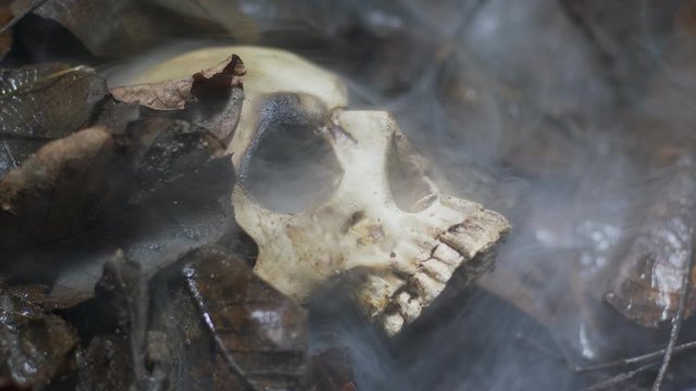 Human skull on the wet soild with smoke flowing