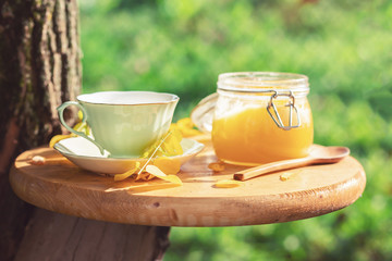 Tea party in the garden by the tree on a sunny autumn day.