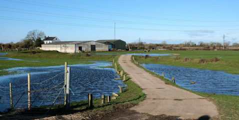 Farm at risk from rising water