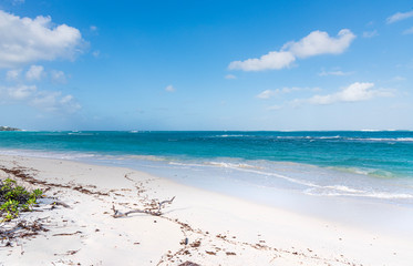 View of Shoal Bay Beach