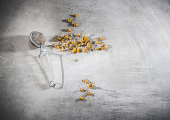 Dry chamomile tea petals - loose flowers in a infuser on gray table