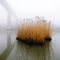 Obrazy na Szkle  Stroiki na spokojnej rzece obok mostu. Göta Ęlv, Szwecja