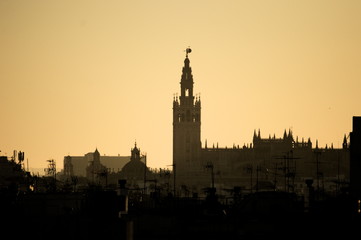 First  morning lights over the Giralda tower. Seville, Spain