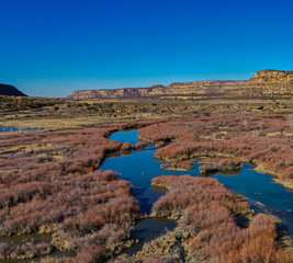 Fototapeta na wymiar The San Jaun River New Mexico