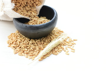Oat grains, accompanied by ears of wheat in containers for display