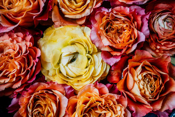 Overhead shot of pink and orange roses with yellow ranunculus