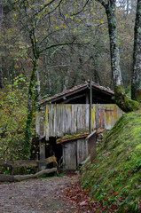 antigua serreria con forma de cabaña de madera en medio del bosque en zerain en vertical