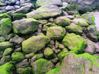 A beautiful landscape of rocks on a beautiful beach