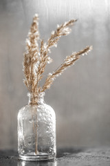 Still-life. Dry reeds in a glass vase on the background of  a wet window. Art Photo